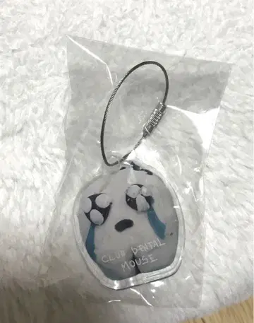 ano 아노짱 팬클럽 한정 FC 아크릴 블록 키링
