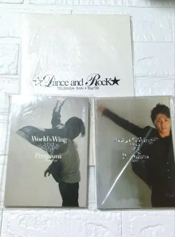미개봉 이마이 츠바사 팜플렛 Dance and Rock Tour 2009