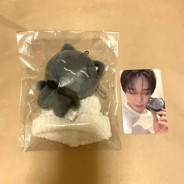 the boyz 주연 봉제 인형