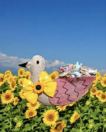 아이라 씨 인형 세트