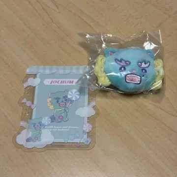 JOCHUM 야누카미 브로치 경질 카드 케이스