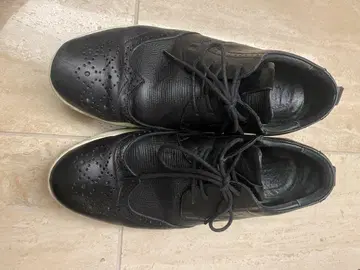 ECCO 골프화