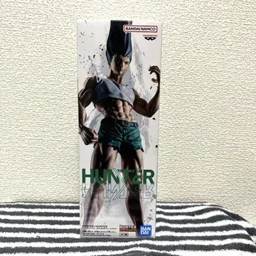 HUNTER x HUNTER 곤 씨