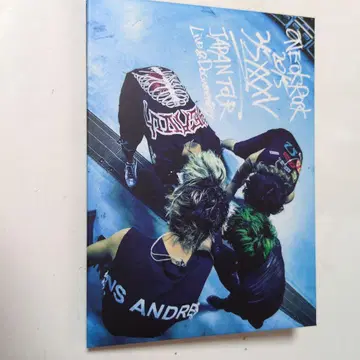 ONE OK ROCK 라이브 DVD 2장 세트