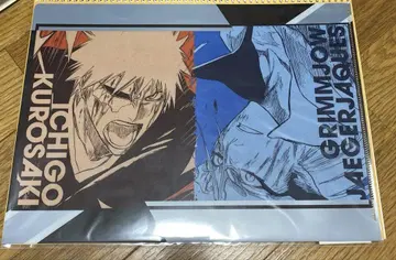 BLEACH THE LOCUS OF BRAVE 파일 그림죠