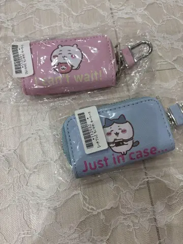 치이카와 키케이스