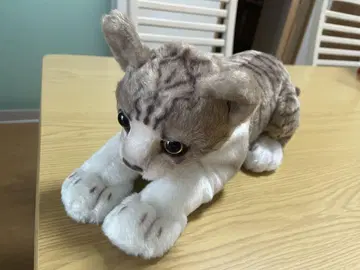 고양이 봉제 인형