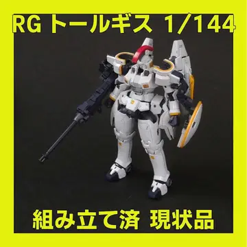 RG 톨기스 1/144 조립 완료 현 상태 제품