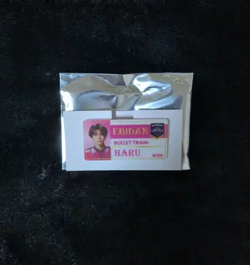 에비라이 2025 초특급 하루 네임 배지 EBiDAN THE LIVE