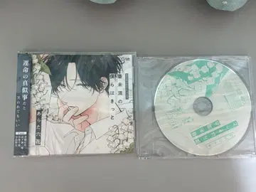 드라마 CD [ 10대 미만의 우리들은 분명 ] 애니메이트 특전 포함