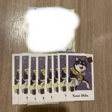 쿠로무초 쿠로이시바 폴라로이드 R2N8
