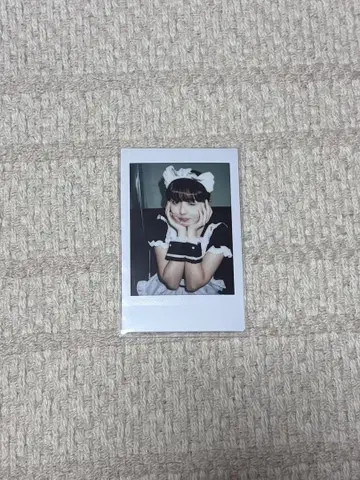 돈치키 사키나 폴라로이드