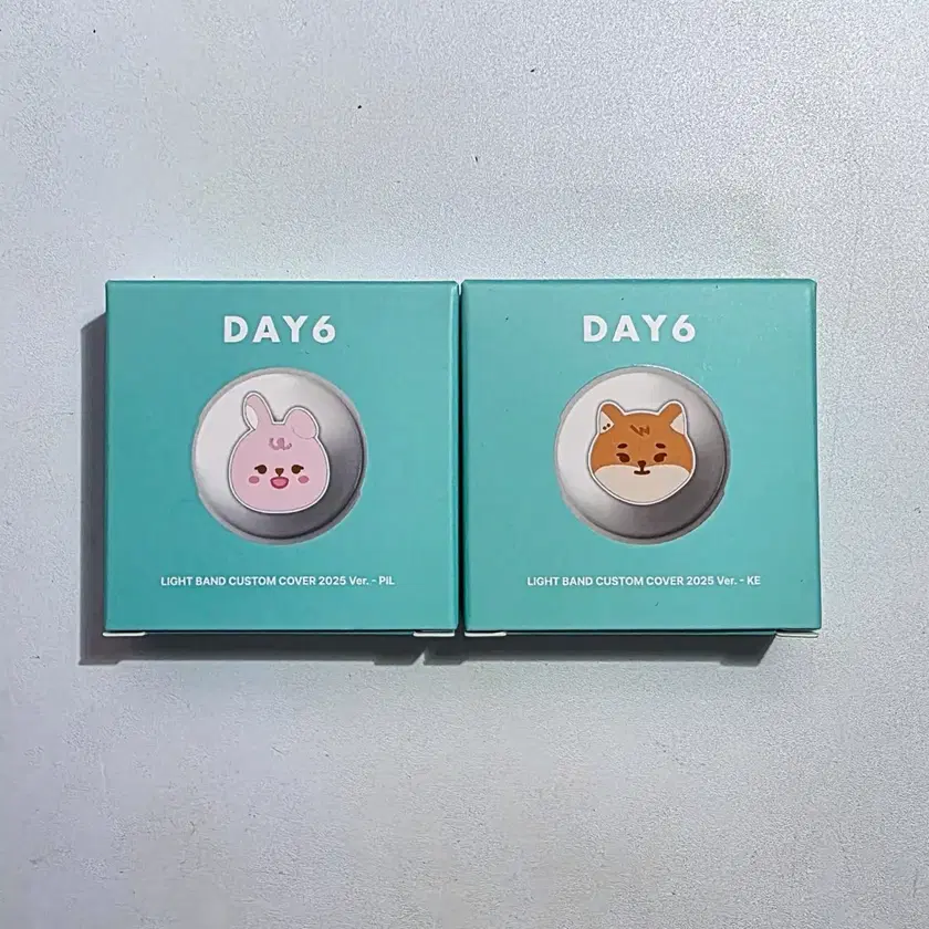 Day6 Lightband Custom Case wts | Bunjang Global