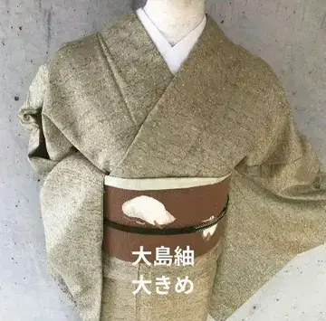 오시마 츠무기 호몬기 빅 사이즈 기모노 (오비 없음)