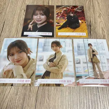 오다쿠라 레이나 미나토구 파슬리