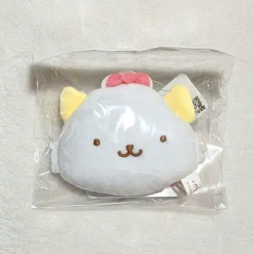 가오파와루 페이스 메이저