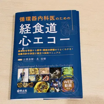 재단됨. 순환기내과 의사를 위한 경식도 심장 에코