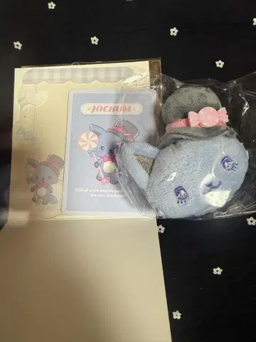 JOCHUM 레인 시크릿 경질 카드 케이스 브로치 세트