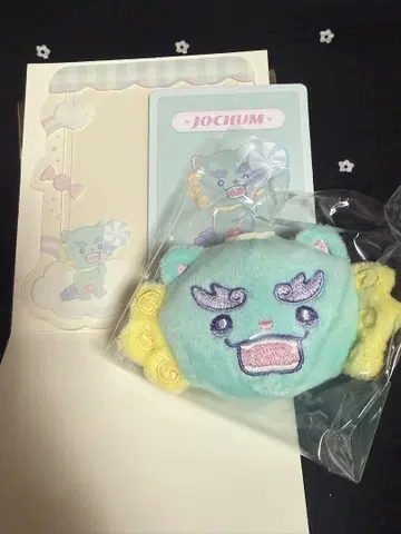 JOCHUM 야누카미 시크릿 경질 카드 케이스 브로치 세트