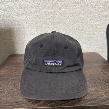 patagonia P-6 라벨 트레디셔널 캡