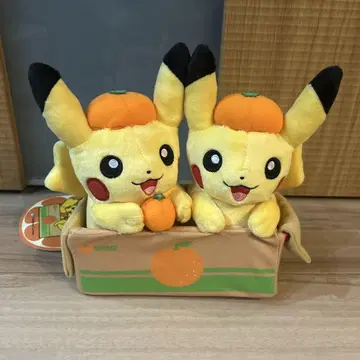 포켓몬 봉제 인형 피카츄 페어 피카츄와 에히메 귤 에히메 한정판