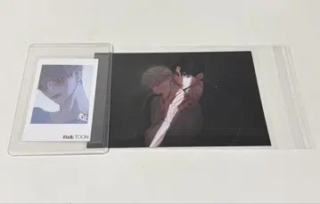 J.GARDEN J정원 벨트툰 폴라로이드 카드 애욕