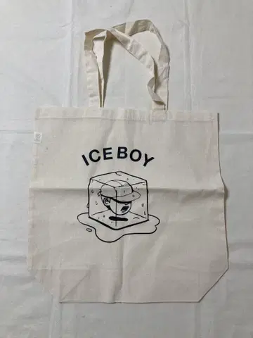 페이퍼보이 빔즈 뉴발란스 ICEBOY 토트백
