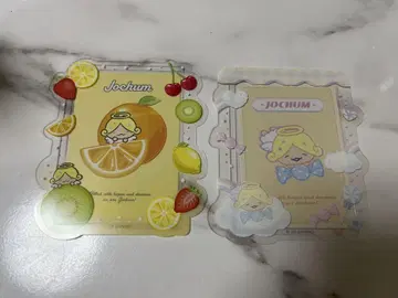 JOCHUM 모코 경질 케이스 세트