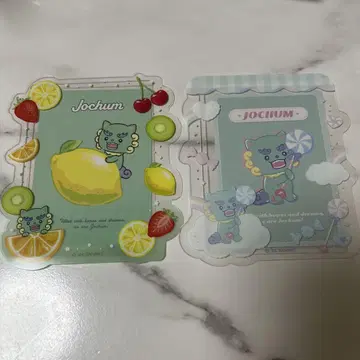 JOCHUM 야누카미 경질 케이스 세트