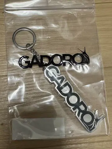 [ GADORO ] Zepp 투어 메탈 키링