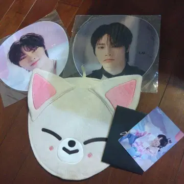 StrayKids I.N 부채 부채 커버 포토 카드 트레이딩 카드