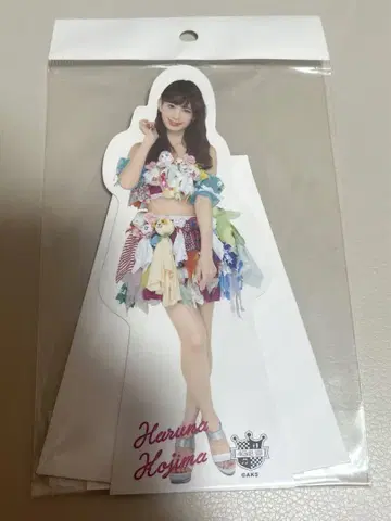 AKB48 코지마 요나 미니어처 패널