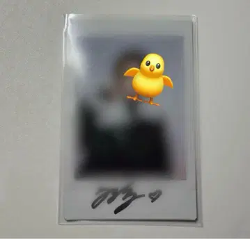 straykids 친필 사인 폴라로이드 필릭스