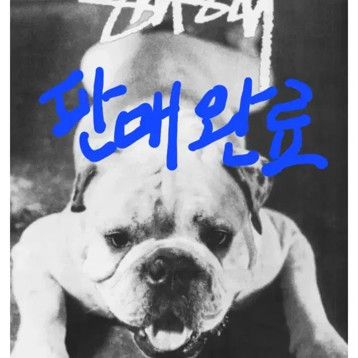 Special S-Class) Porter Tanker 2-way Briefcase Overnight Black (622-79309)