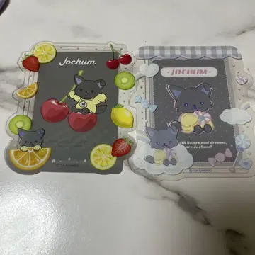 JOCHUM 피 하이 경질 케이스 세트