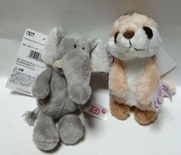 NICI 2세트