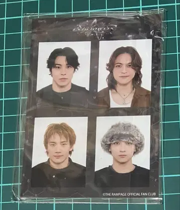 THERAMPAGE 디지털상 ID PHOTO 포토 카드