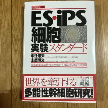 ES iPS 세포 실험 스탠다드