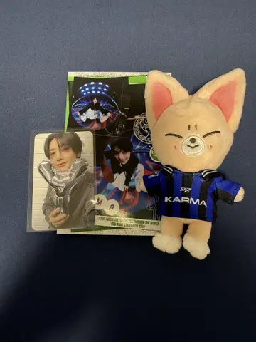 straykids KARMA skzoo ver. 아이엔 폭시니