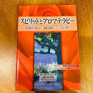 스피릿과 아로마테라피 가브리엘 모제이 저 마에다 쿠니코 역 레어템