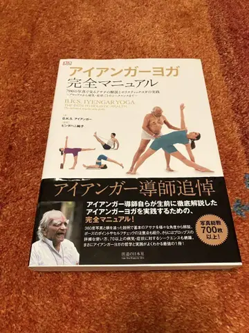아이언 가 요가 완전 매뉴얼 의도 일본사 초판 제1쇄