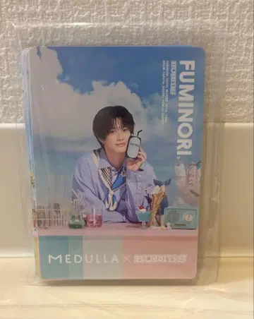 BUDDiiS MEDULLA 헤어 카르테 카드 전 10매 세트