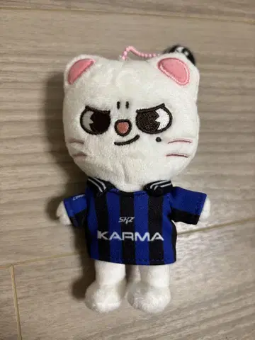 straykids 스키즈 karma skzoo ver 지니레트