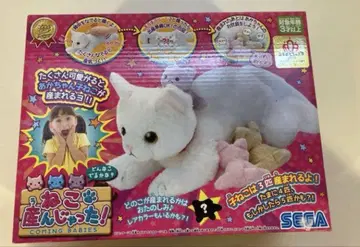 세가토이즈 꿈반려동물 낳아버렸다 시리즈 고양이 낳아버렸다!