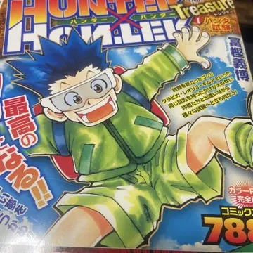 HUNTER x HUNTER treasure 북커버 포함 총집편 11권