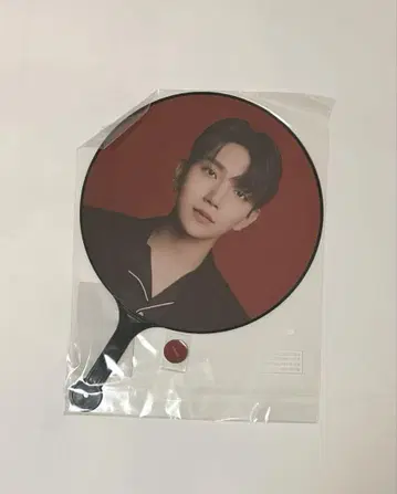 SEVENTEEN 조슈아 부채 power of love