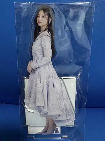 새상품 이노우에 카즈 노기자카46 13th 버스라 BIG 아크릴 스탠드
