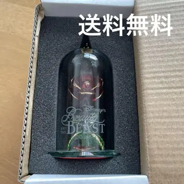 디즈니 미녀와 야수 로즈돔