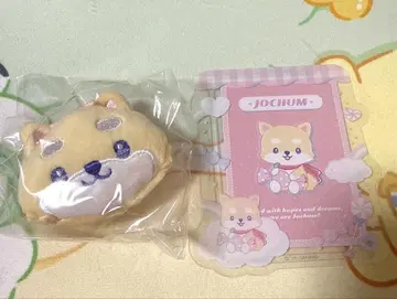 JOCHUM 마메치 브로치 경질 케이스