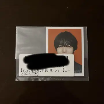 겐지부 코이즈미 켄지 키라리 스크래치 ID 사진